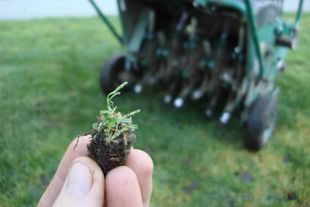 Aerating <br>& Dethatching