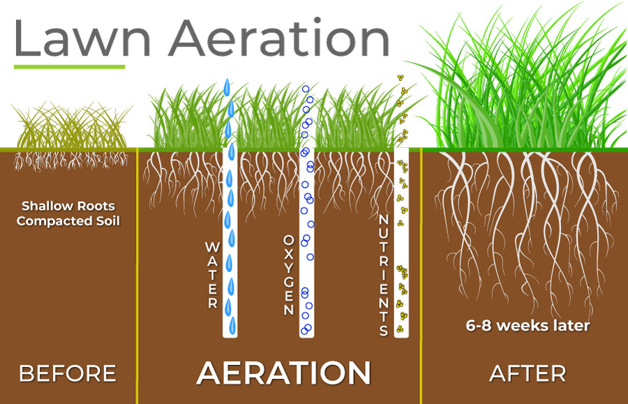 Aeration Explaination