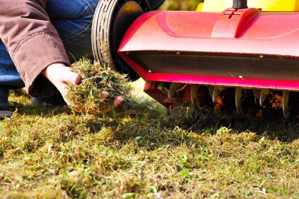 Dethatching