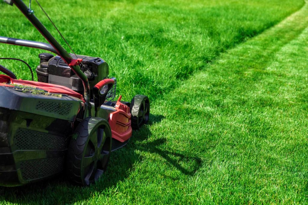 Lawn Care