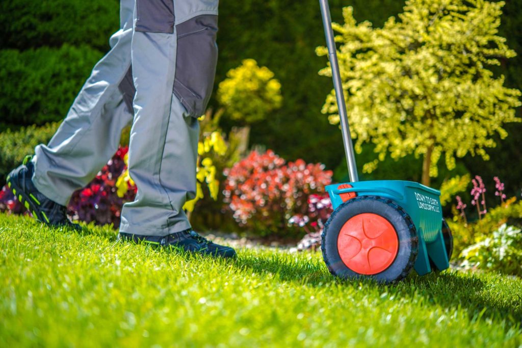 Seeding Lawn