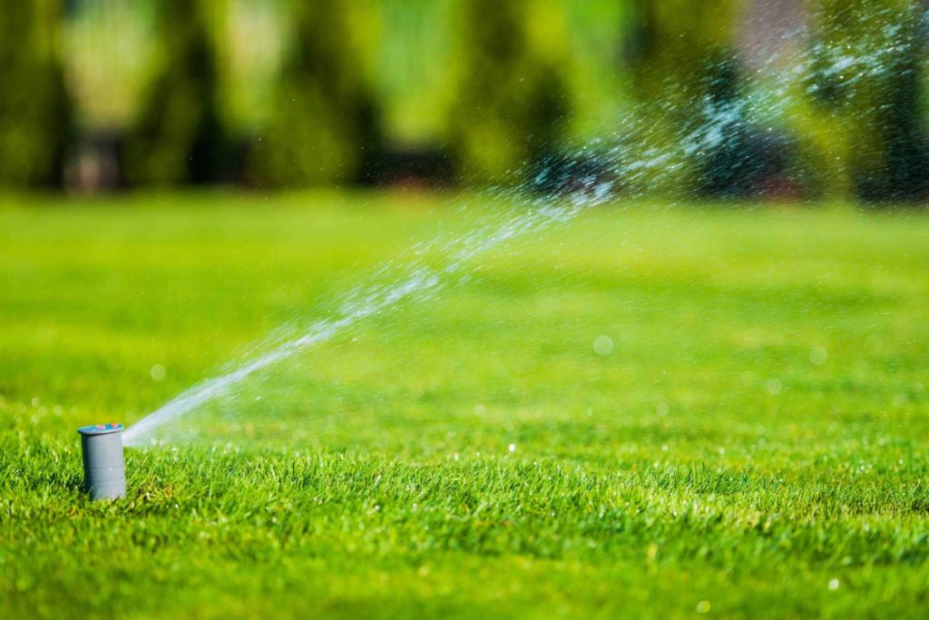 Sprinkler Maintenance